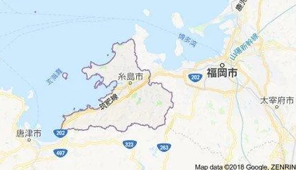 夏日搭车客惊险之旅全程记录紧张刺激不容错过