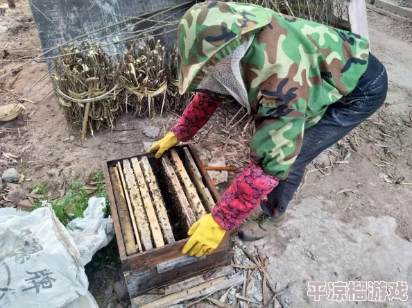 最新爆料！吃东西游戏下载推荐大合集，超好玩的吃货冒险等你挑战